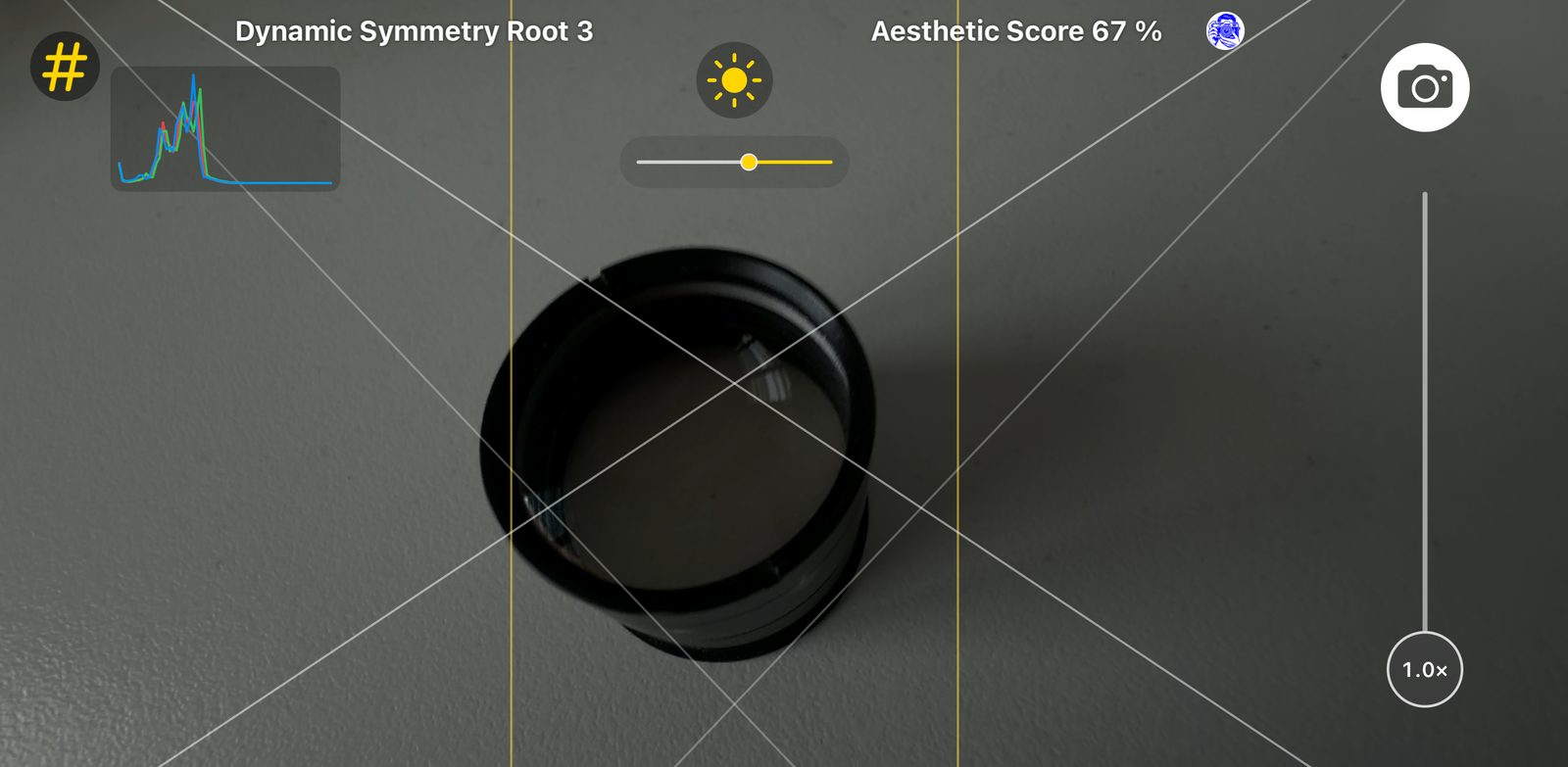 Brightness slider next to the exposure control in the Framing Coach viewfinder
